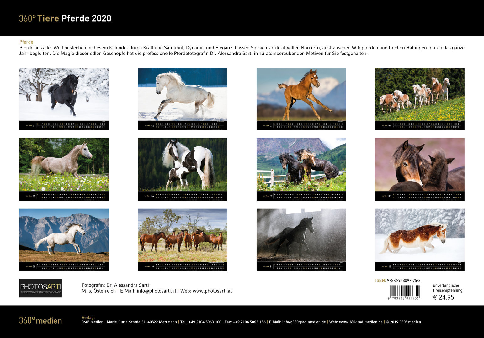 Pferde 2020 Original Stürtz Kalender NEU 