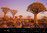 360° Afrika - Namibia Kalender 2020